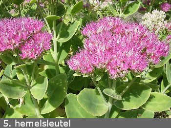 Hemelsleutel