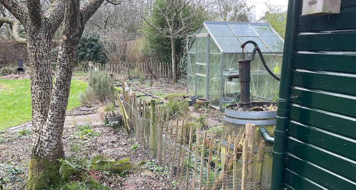 moestuin overzicht